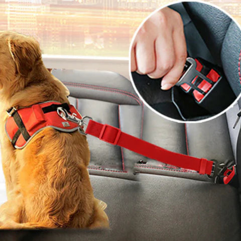 Sikkerhetsbelte for hund – Reis i all trygghet