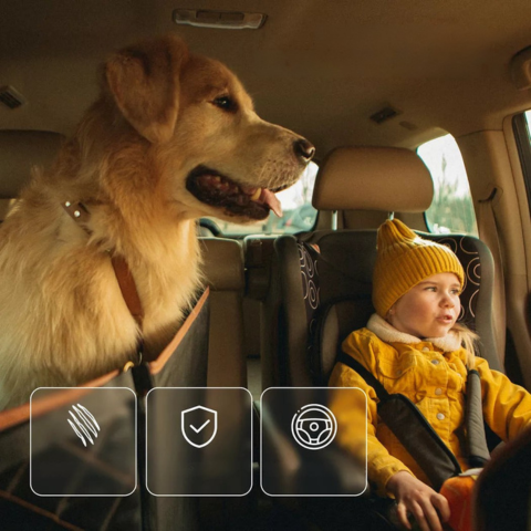 Auton koiran istuinsuoja — Mukavuus & turvallisuus päivittäin