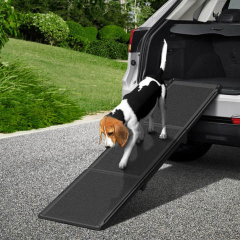 Rampe Pliable Pour Chien — Accès Facile À La Voiture