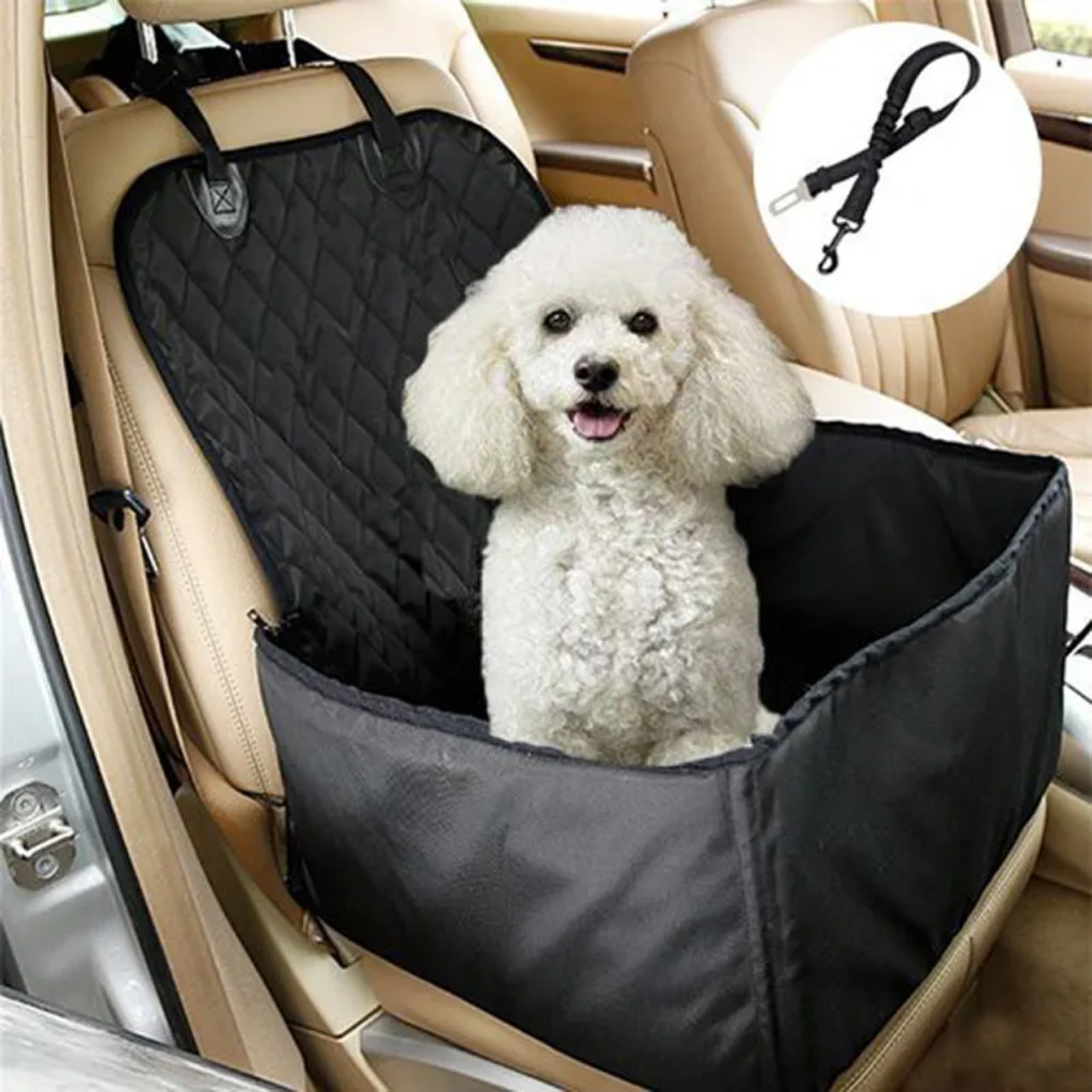 Elevated Car Seat for Dog — Comfort and Safety During Travel