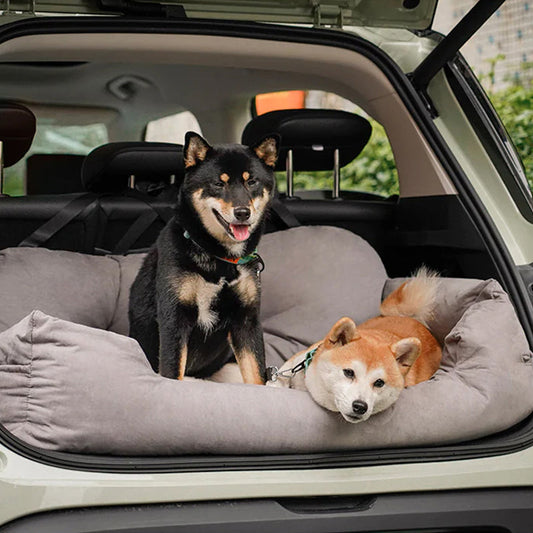 Sofá de Viaje para Perros — Confort y Seguridad en el Coche 