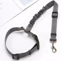 Adjustable Safety Strap for Dog – Special Car 