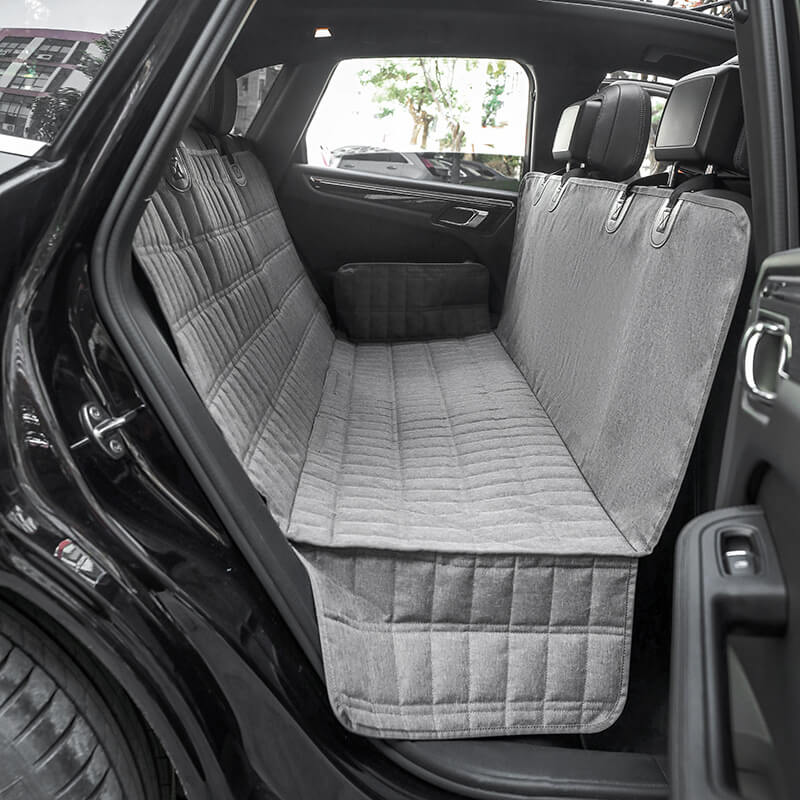 الحماية والتنظيم 