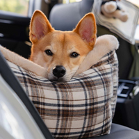 Reisbank voor Honden – Comfortabel en Gemakkelijk te Installeren 