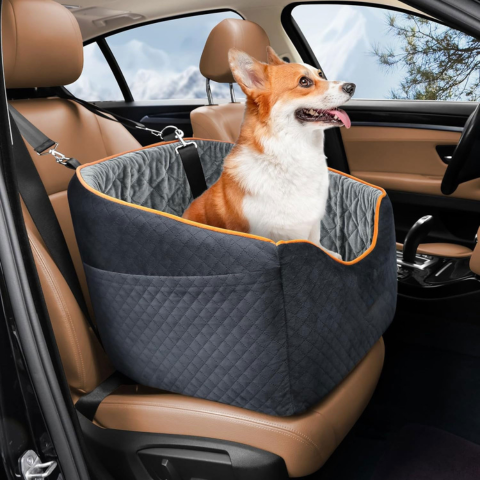 Seggiolino Auto Per Cani – Comfort E Sicurezza In Auto 