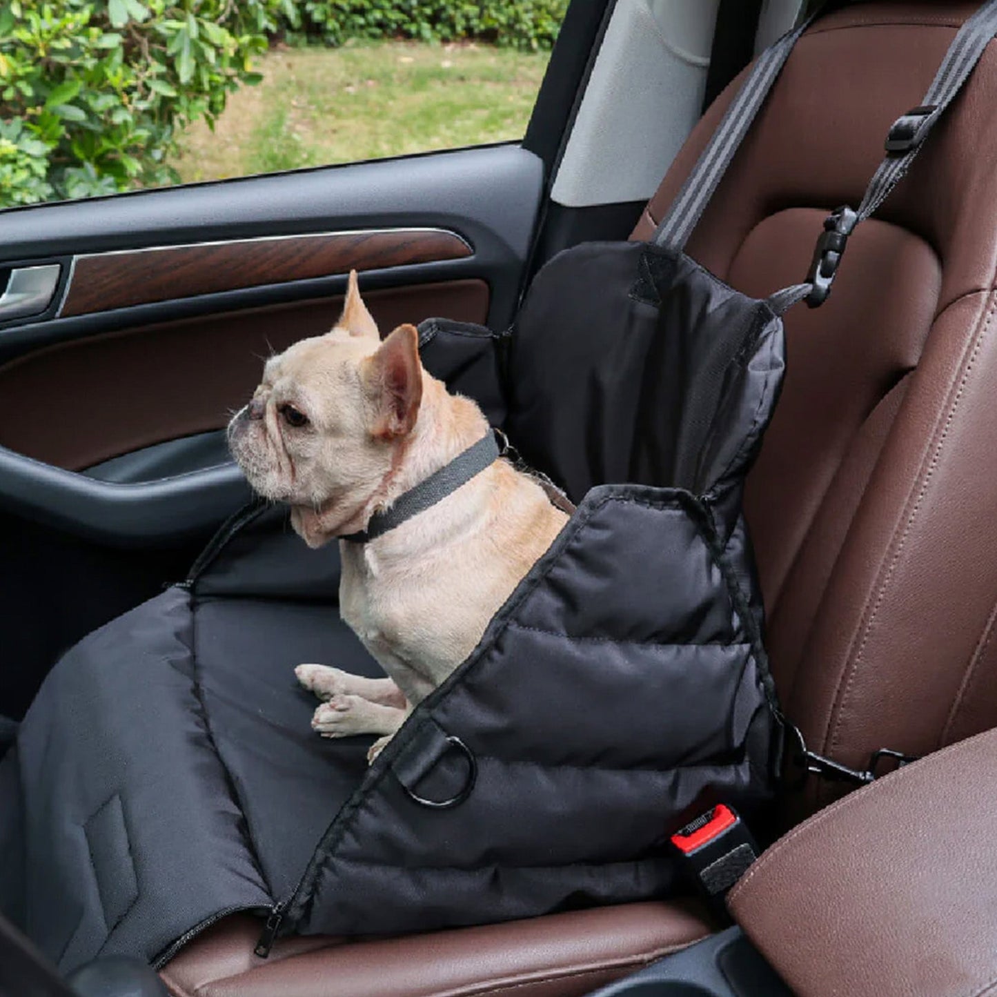 Dog Car Basket – Comfort and Safety on the Road 
